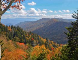 October Promotion: More Than 50 Best Autumn Discounts You Won't Want to Overlook