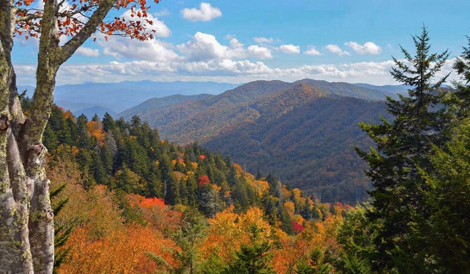 October Promotion: More Than 50 Best Autumn Discounts You Won't Want to Overlook