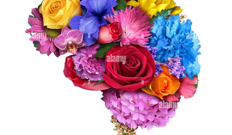 The Effect of Scent on Emotion, Remembrance, and Individual Style