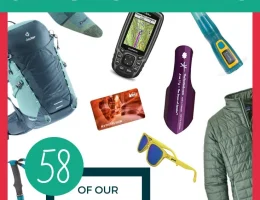 2025 Present Guide for Canine Enthusiasts