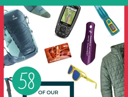 2025 Present Guide for Canine Enthusiasts