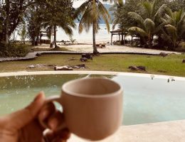 Discovering the Charms and Attractions of Koh Kood Island