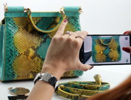 Thorough Guidelines for Taking Outstanding Pictures