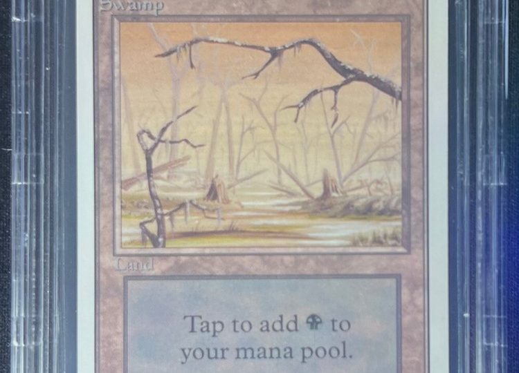 Vintage Vault: An Exploration of December's Gems