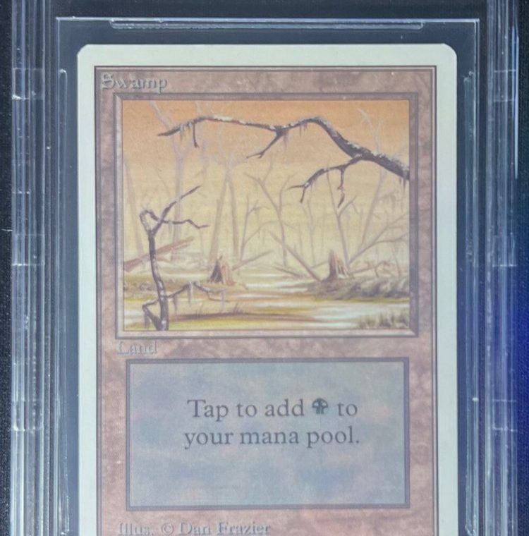 Vintage Vault: An Exploration of December's Gems