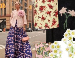 Discovering the Splendor of Blooms