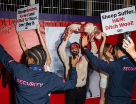 PETA Activists Interfere with H&M's Fashion Show in London; Mbappé Leaves Nike for On During Soccer Growth